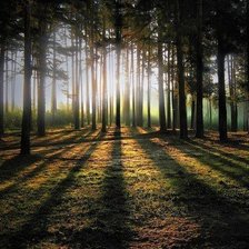 Схема вышивки «№497374»