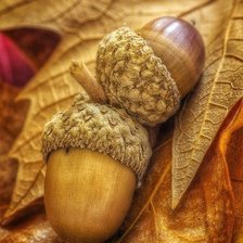 Схема вышивки «№497387»