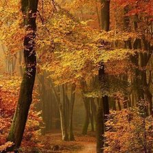 Схема вышивки «№497392»