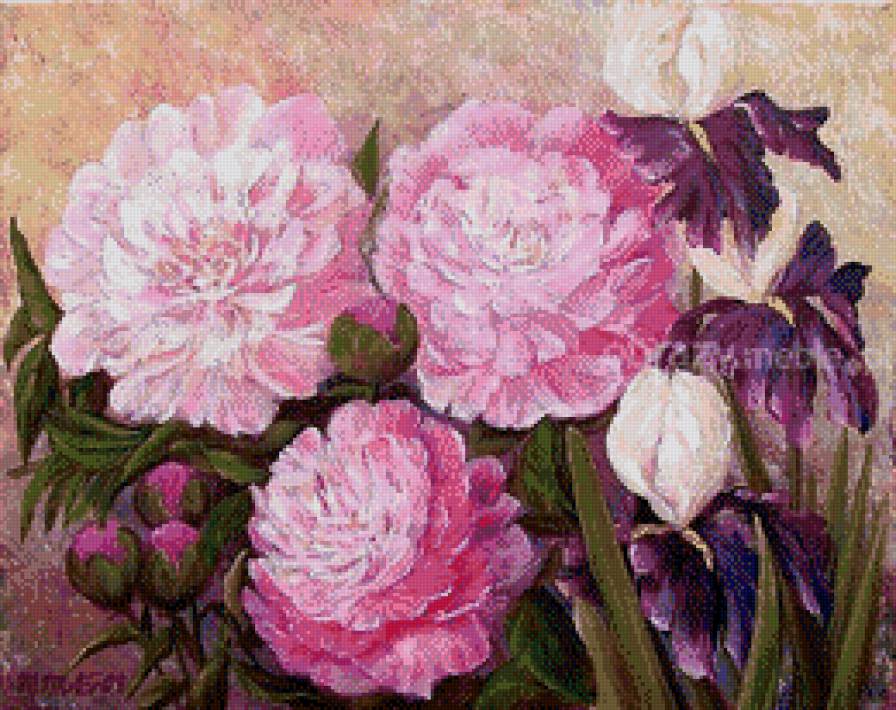 peonie - ziwopis, cwety, peonie - предпросмотр