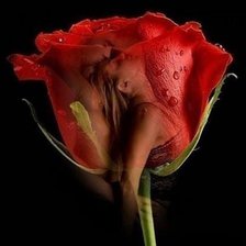 Схема вышивки «дева в розах»