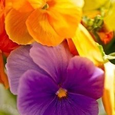 Схема вышивки «№497474»