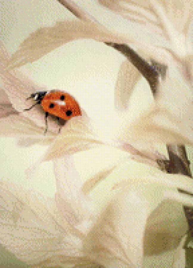 №497476 - предпросмотр