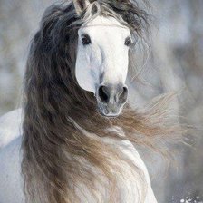 Схема вышивки «№497495»