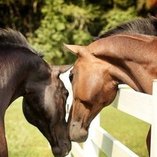 Схема вышивки «№497500»