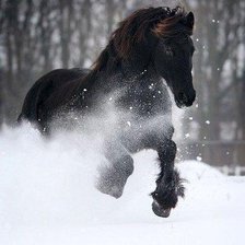 Схема вышивки «№497503»