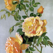 Схема вышивки «№497517»