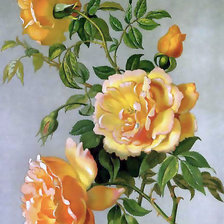 Схема вышивки «№497522»