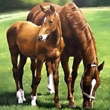 Схема вышивки «№497546»