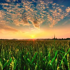 Схема вышивки «Пейзаж»