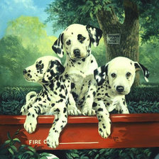 Схема вышивки «Три далматинца»