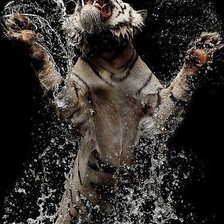 Схема вышивки «№497721»