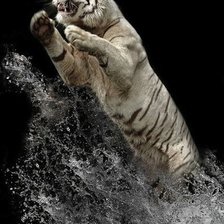 Схема вышивки «№497723»