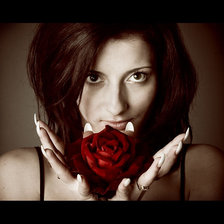 Схема вышивки «Девушка с розой»