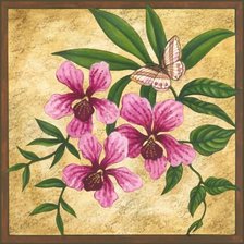 розовые цветы