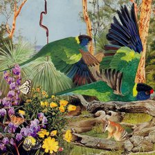 Схема вышивки «Попугаи»