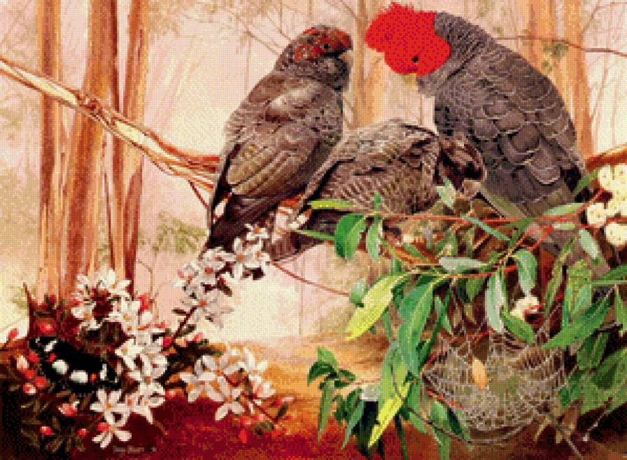 Птицы - пейзаж, природа, птицы - предпросмотр