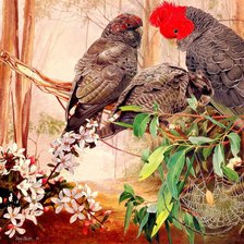 Схема вышивки «Птицы»