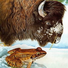 Схема вышивки «Лягушка и зубр»