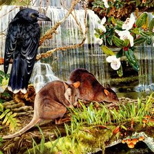 Схема вышивки «Ворон»