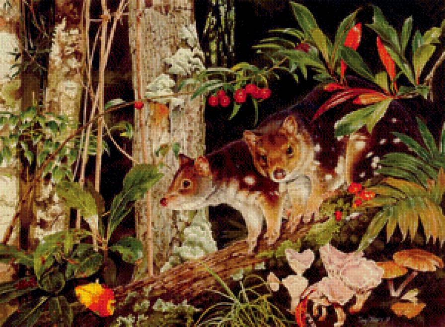 Лесная пара - природа, животные - предпросмотр