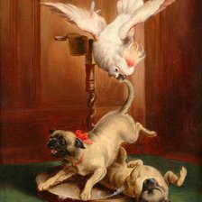 Схема вышивки «№498097»