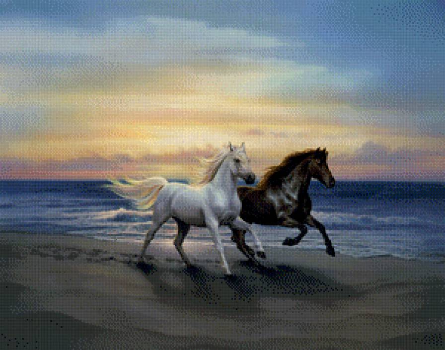 кони на морском берегу - животные, лошадь, конь - предпросмотр