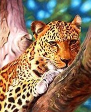 Схема вышивки «гепард на дереве»