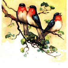 Схема вышивки «№498508»