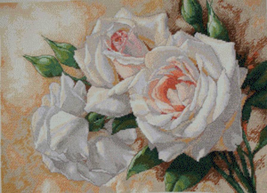 rozi - предпросмотр