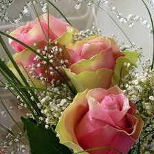 Схема вышивки «rozi»