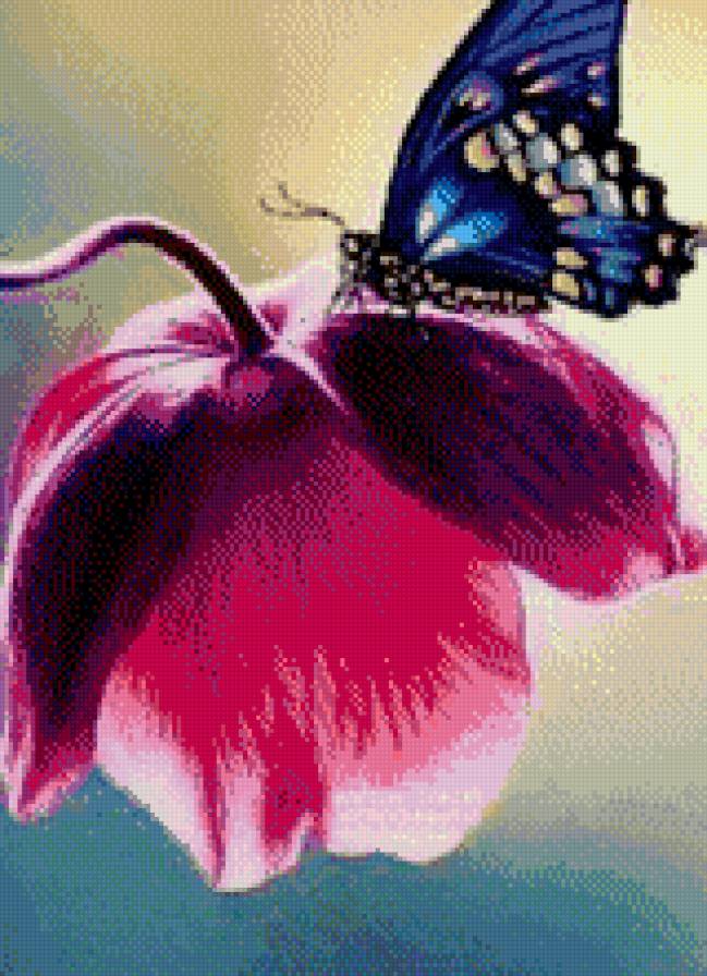 Бабочка на цветке - бабочка, цветы - предпросмотр