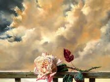 Схема вышивки «Roza»