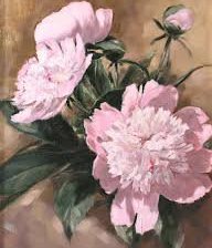 Схема вышивки «Peonie»