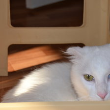 Схема вышивки «Кефирчик»