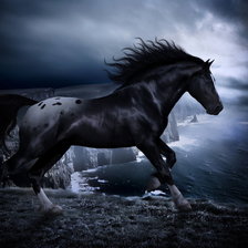 Чёрный конь.