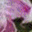 Предпросмотр схемы вышивки «peonie» (№499097)