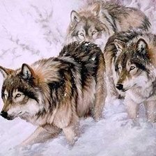 Схема вышивки «wilki»