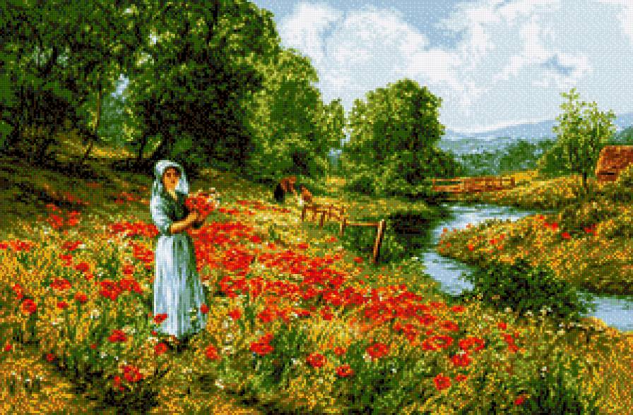 pole makow - ziwopis, cwety, maki - предпросмотр