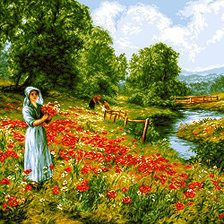 Схема вышивки «pole makow»