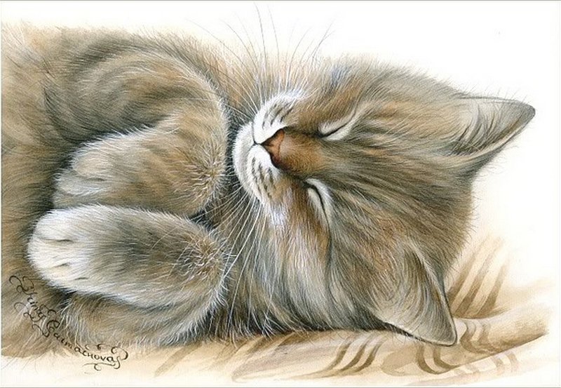 серия "кошки" - животные.кошка - оригинал