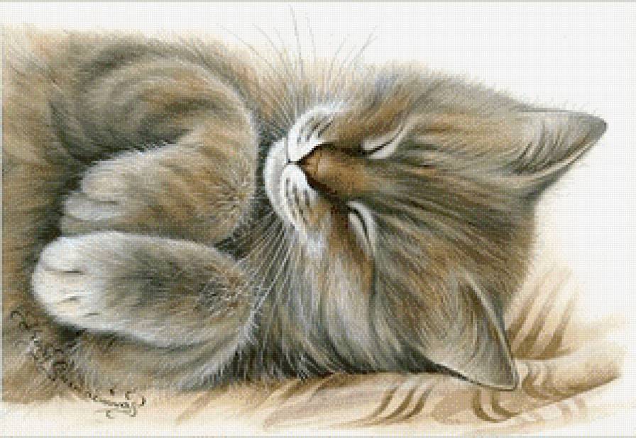 серия "кошки" - животные.кошка - предпросмотр