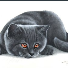 Схема вышивки «серия "кошки"»