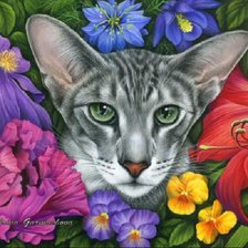 Схема вышивки «серия "кошки"»