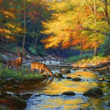 Схема вышивки «Серия "Пейзажи"»