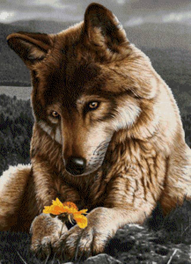 Читает на Любовь - картина, зверь, цветок, животное, волк, хищник - предпросмотр