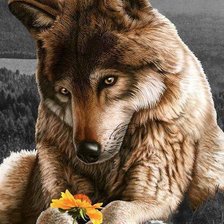 Схема вышивки «Читает на Любовь»