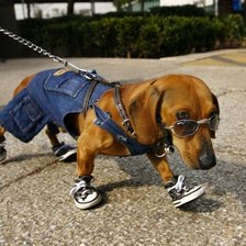 Схема вышивки «Таксятина»