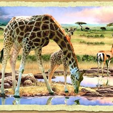 Схема вышивки «жирафы»