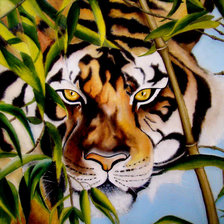 Схема вышивки «взгляд хищника»